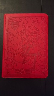VCard Sinder Binder / Assorted Rising Stars Cards Read Description for List
