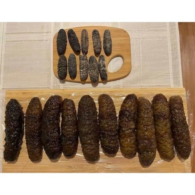 Wild Dried Sea Cucumber  S Size (16 oz) 野生南美小刺参 100/120pcs