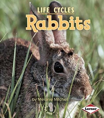 Rabbits (First Step Nonfiction   - Paperback, by Mitchell Melanie - Very Good