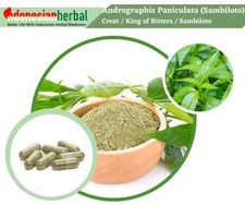 Capsule Of Pure Green Chirayta Andrographis Paniculata Sambiloto Organic Natural