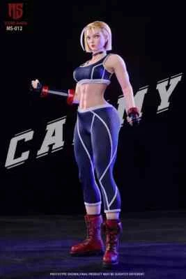 STAR MAN MS-012 ストリートファイター Cammy キャミィ1/6 STAR MAN MS-012 ストリートファイター Cammy キャミィ1/6の通販