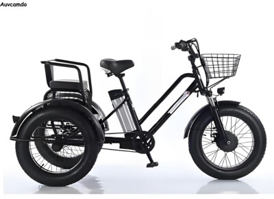 20 inch Electric Tricycle 500W 48V E-Trike Cargo/Passenger/Utility Bicycle Adult