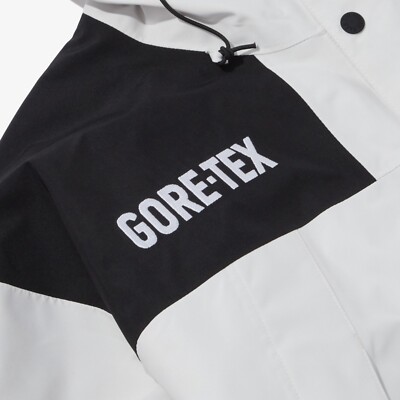 The North Face Korea GTX GORE-TEX MTN JACKET NJ2GP70C WHITE ASIAN