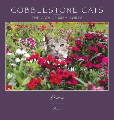Alan Panattoni | Cobblestone Cats - Lima | Buch | Englisch (2018) | Gebunden