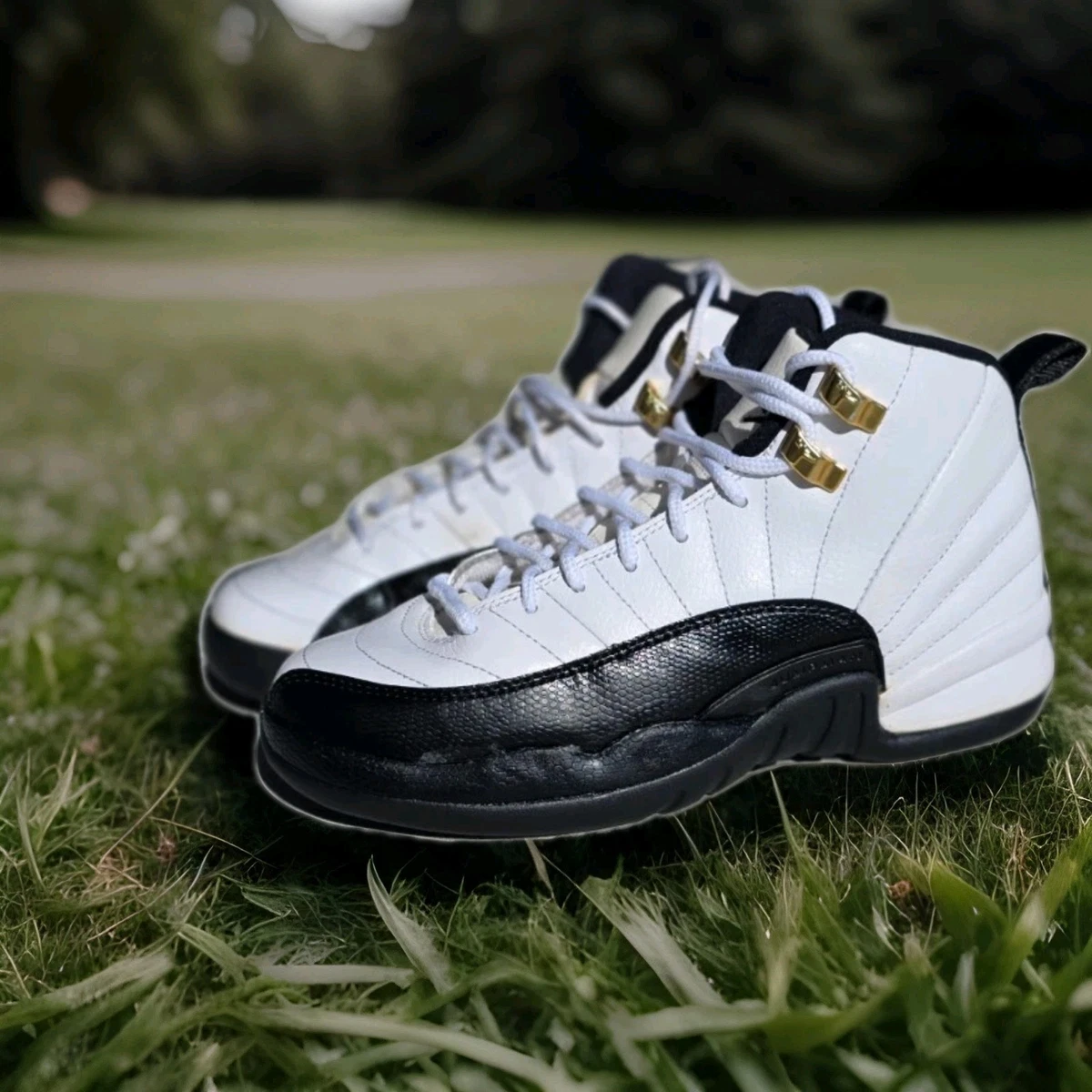 “TAXI” Jordan 12s 2013 size 7  VNDS , Og everything Jordan 12 Taxi 2025 • Sz 13 • $160 • VNDS • OG Box main image 3