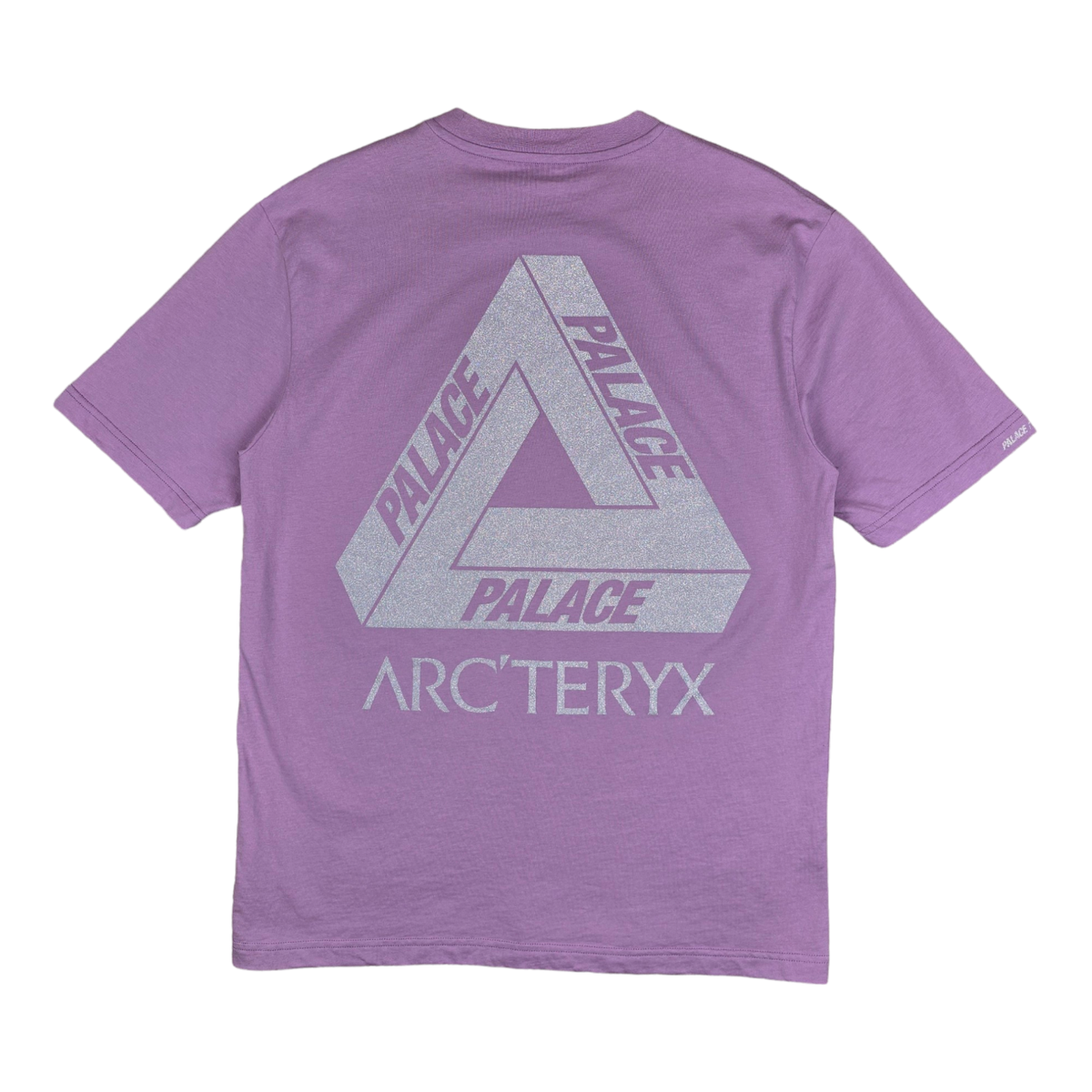 Palace x Arc'teryx Lilac Tee T-Shirt Mens Large | eBay
