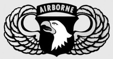US Army 101st Airborne W Wings Military 1 Color Window Wall Vinyl Decal Sticker