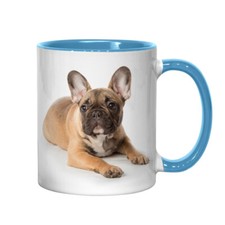 FRENCH BULLDOG PUP | Light