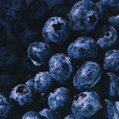 BLUEBERRY Fragrance Oil to craft Candles Soaps Lotions Bath products