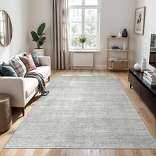 Washable Rug 6x9 - Stain Resistant 6x9 Area Rugs for Living Room, Non Slip Ba...
