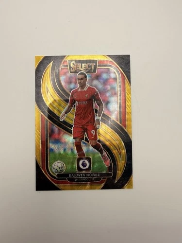 Panini Select Premier League 2024/25 - Darwin Nunez Gold Prizm /10 Liverpool