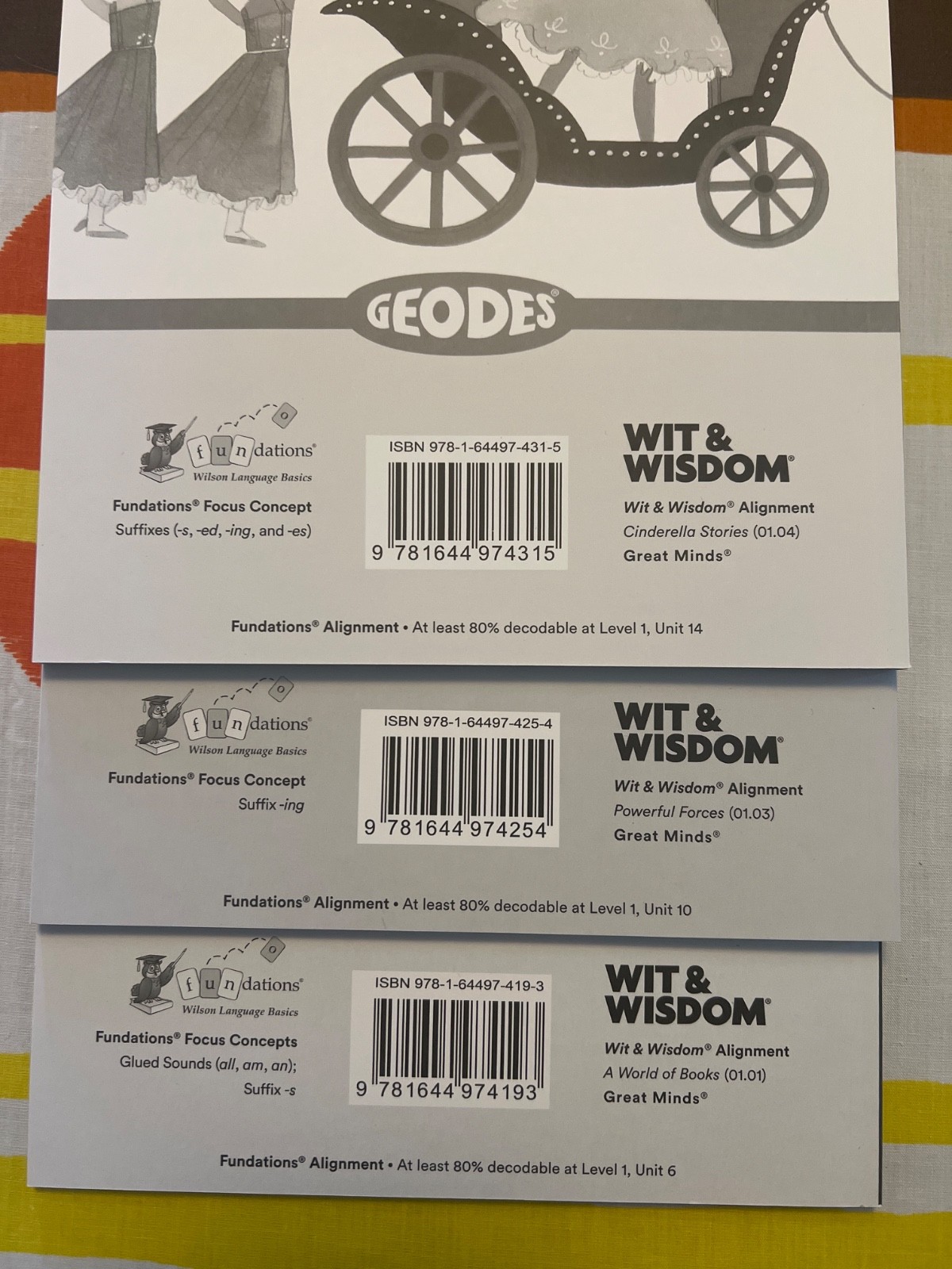 Wilson Geodes Geodes Wilson Fundations book. Level 1 variety