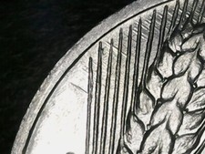 10 LIRE 1980 ERRORE - LINEE IN RILIEVO AL ROVESCIO [U927]