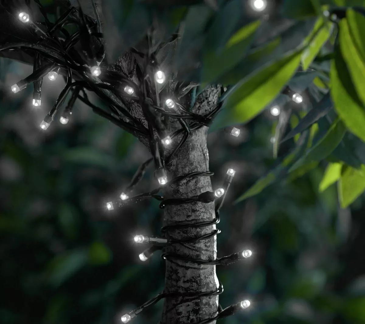 Habitat solar sale string lights
