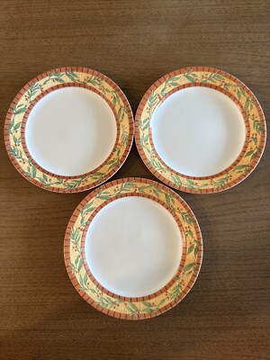 Corelle SPICEBERRY Set of Salad Plates 7-1/4