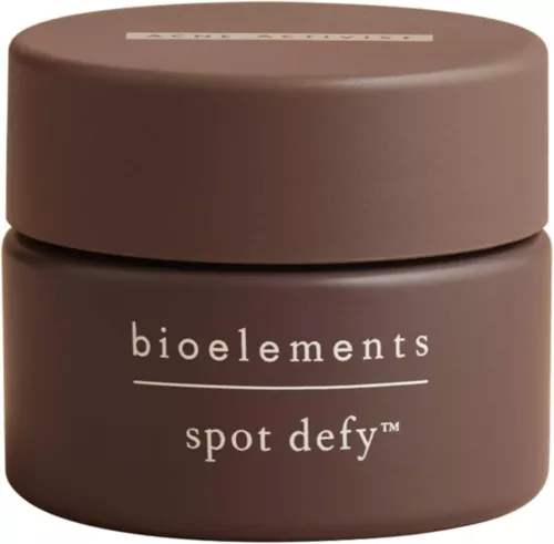 Bioelements Spot Defy Overnight Acne Spot Treatment 