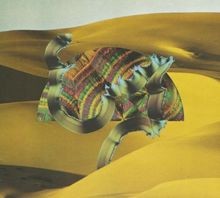 Django Django von Django Django | CD | Zustand sehr gut