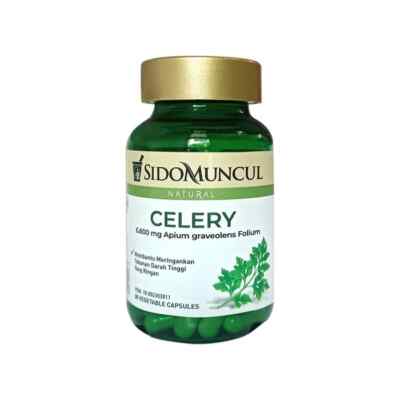 Sidomuncul Celery Herbal Supplement for High Blood Pressure 30 Capsules