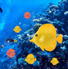 3 piezas Acuario Paisajismo Luminoso Silicona Simulación Pez Ángel Cirujano Peces