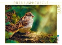 Calvendo Puzzle The Beauty Of The Ordinary | 2000 Pieces, Finished Size 35.4 × 2