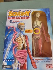 SmartLab Squishy Human Body - SL06428 for sale online | eBay