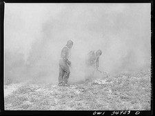Daniel Field Georgia Air Service Command 1940s Chemical Unit Demonstration