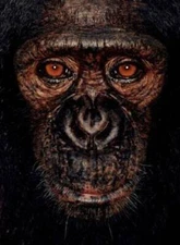 James and Other Apes - Hardcover By Mollison, James - GOOD