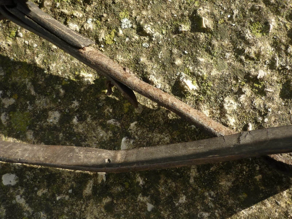 Gourde crapaud ancienne art populaire - Photo 4/4