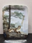 Bradford Exchange Porcelain Plate Nature's Harmony Cougar Rests By Daniel Smith — photo 1
