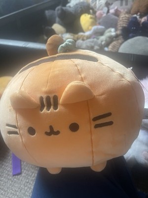 Pusheen Jack-o -Laterne Selten Neu Kürbis Halloween Katze  