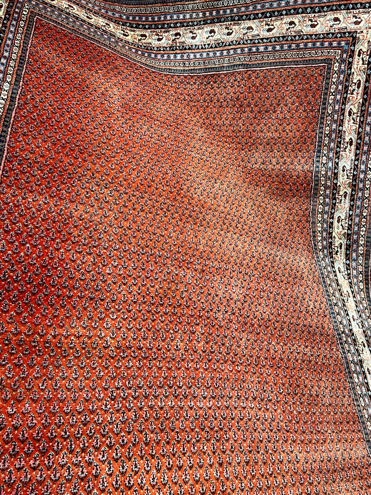 Picture 22 of 23