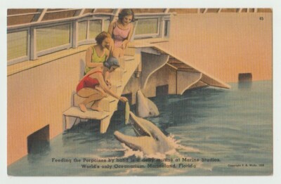 Florida, Marineland, Marine Studios, Feeding Porpoises.
