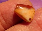 ANCIENT PYU KUSHAN PATINIZED GEOMETRIC  SHAPE AGATE CARNELIAN BEAD 12.7-11.3-4.7 — photo 7
