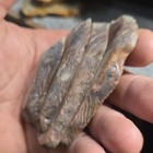 South Dakota Prairie Agate Slabs, Lot of 4, 116g, Lapidary Cabbing — photo 6