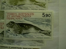 TAAF Yvert Num 108 ** MNH Faune Phoque ANNEE 1984