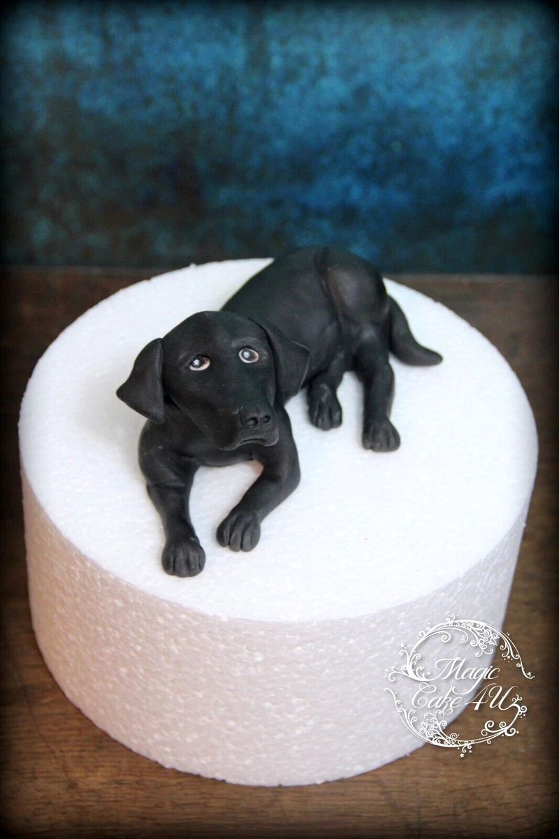 Labrador top cake ideas