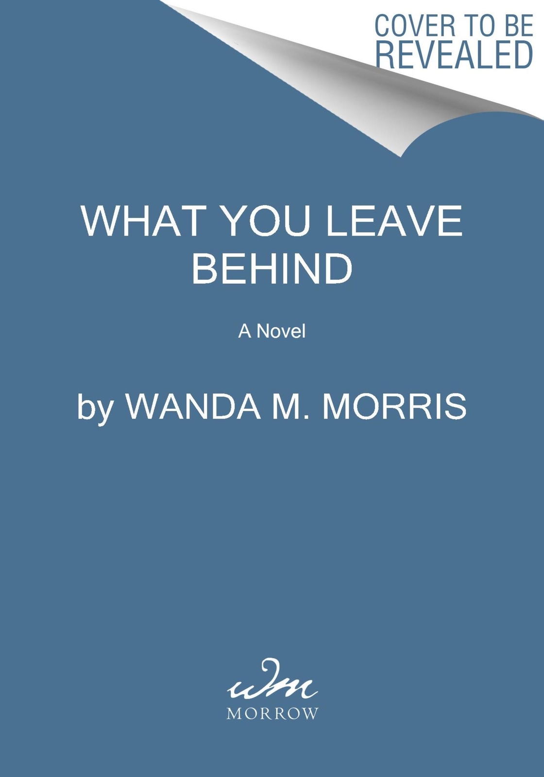 Thumbnail - What You Leave Behind | Wanda M Morris | Taschenbuch | Englisch | 2024