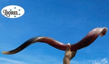Small-Large Kudu SHOFAR Hebrew Trumpet Blow Horn Jewish Kosher, Holy Land Israel