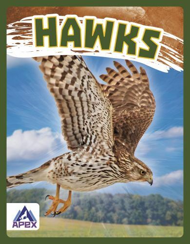 Hawks, Library by Gendell, Megan, Brand New, Free shipping in the US
