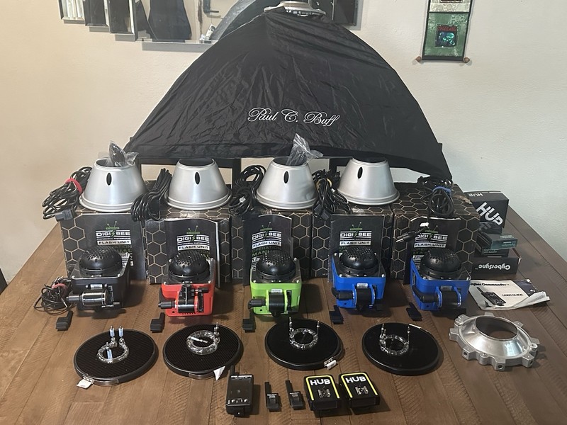 Paul C. Buff DigiBee DB800  Strobes 800.   5 Heads soft box and more 