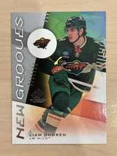 Liam Ohgren 2024-25 Upper Deck SP Game Used New Grooves Rookie #NG-7