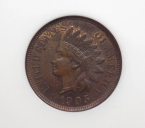 1905 Indian Head Cent Penny 1c NGC MS64 BN #003 Unc BU Uncirculated ECC&C, Inc.