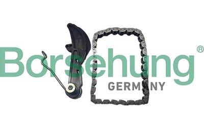 Kettensatz Ölpumpenantrieb Borsehung B10251 für VW PASSAT CC B6 357 GOLF 6 5K1 3