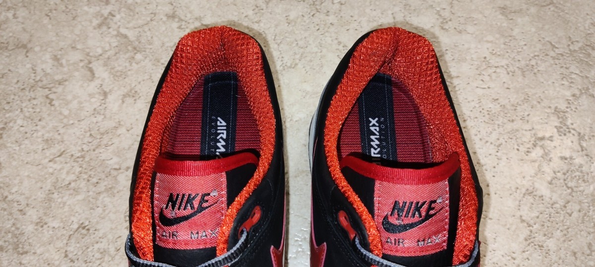 nike air max 1 hoa 2005