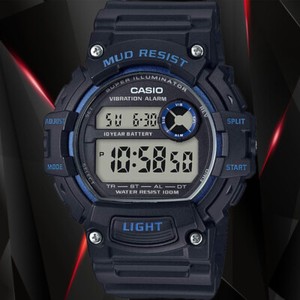 casio vibration alarm