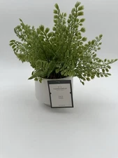 Threshold Faux Fern Artificial Plant - 10 In Decorative Plant And Base New!