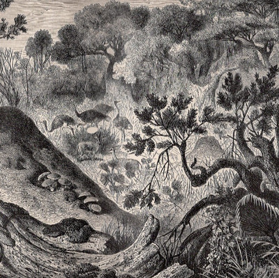 AFRICAN TERMITE MOUND   Sennar Landscape with Wildlife 1883 Antique Engraving