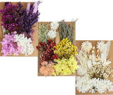131Pcs DIY Dried Flowers Daisies Leaves, Hydrangeas, Multiple Natural Pressed Fl