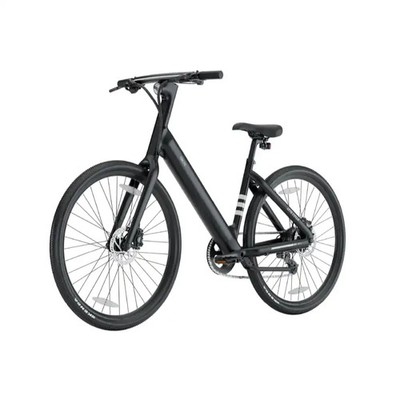S-Pedelec OKAI LyteCycle EB60 eBike Elektrofahrrad 26'' Zoll 350W E-Bike NEU