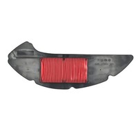 Luftfilter Miw Yamaha 125 X-Max -125/155 N-Max / Tricity : Y428